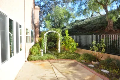 DSC_7375 (Large).JPG